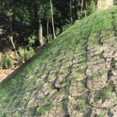 黑龙江边坡固土护坡蜂巢土工网格植草护坡网