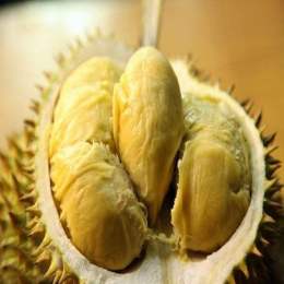 進口泰國榴蓮清關相關的海關檢驗檢疫程序