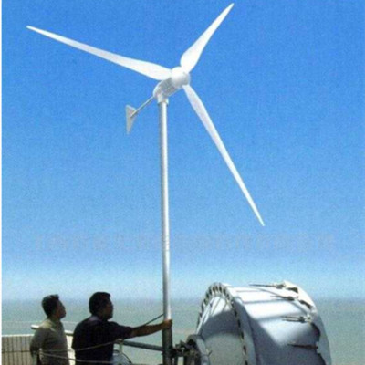 山东鑫瑞达厂家定做风力发电机持久耐用发电