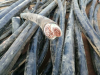 湖州旧电缆线回收-铝芯电缆回收全国上门