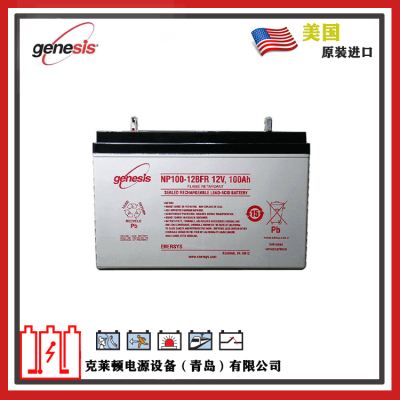 美国GENESIS蓄电池NP100-12 12V100AH免维护