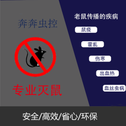 上海专业除灭老鼠上门服务奔奔虫控