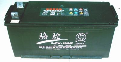 骆驼蓄电池6-QW-100骆驼电池12V-100AH