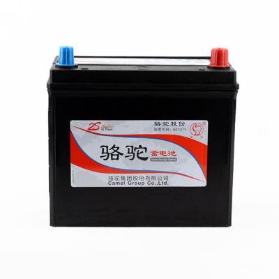 启动型骆驼蓄电池6-QW-60尺寸价格12V-60AH