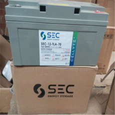 SEC蓄電池SEC-12-TLA-55 12V55AH專業適配