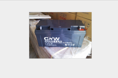 CNW蓄电池6-GFM-24 12V24AH免维护阀控式