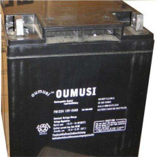 歐姆斯OUMUSI蓄電池工廠直發