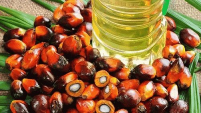 求指导尼日利亚棕榈油进口所需文件资料