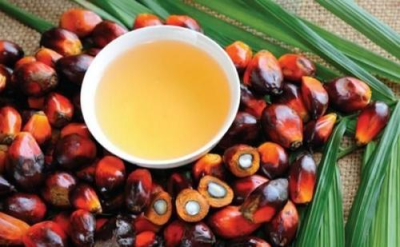 咨询马来西亚棕榈油清关文件资料