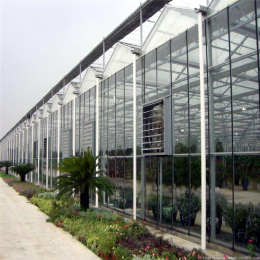 鑫德玻璃温室 温室大棚定制蔬菜玻璃温室