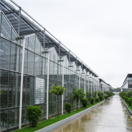浙江玻璃温室 农业玻璃温室大棚 花卉大棚