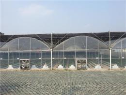 薄膜温室大棚 花卉薄膜温室设计 连栋大棚