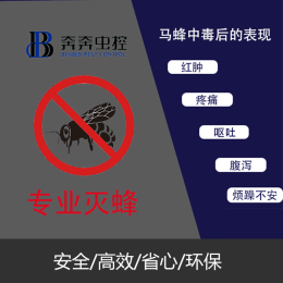 上海专业上门除灭马蜂服务杀虫公司
