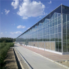 玻璃温室大棚 生态玻璃温室制造 花卉大棚