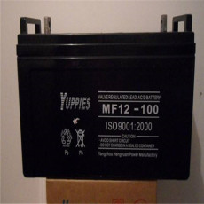 优佩斯蓄电池MF50-12 12V50AH国标尺寸