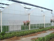 薄膜温室大棚 拱形种植薄膜温室造价温室材