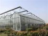 承建阳光板大棚 生态观光阳光板温室建设