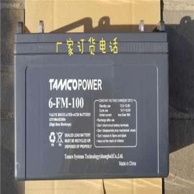 TAMCOPOWER蓄电池6-FM-38国标尺寸