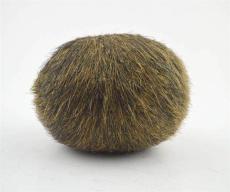 猪宝在哪里高价收购