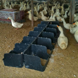 无底蛋窝 鸭子下蛋窝生产厂家 塑料鸭蛋箱子