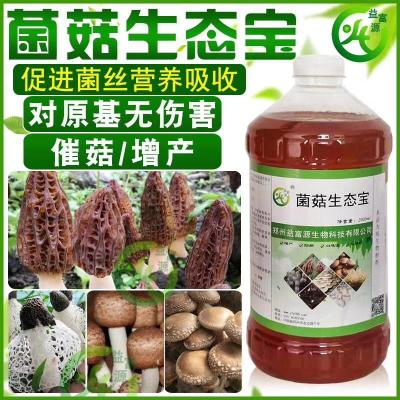 茶树菇营养液增产高出菇率菌棒em菌古田屏南
