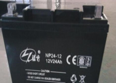 蓝肯蓄电池NP65-12 12V65AH价格参数