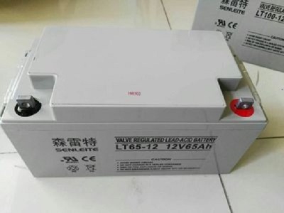 森雷特蓄電池LT100-12 12V100AH鉛酸免維護