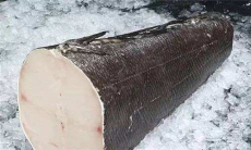 挪威鳕鱼进口报关流程上海清关代理