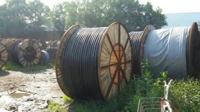 石家莊哪里回收廢電纜
