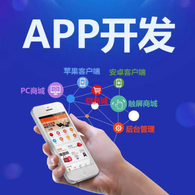 玩物得志app开发详情