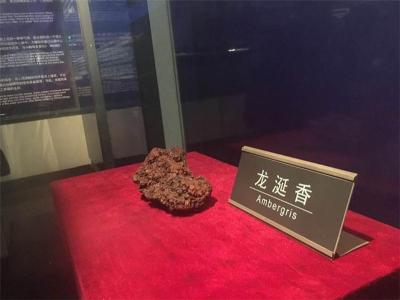 2020年龍涎香收購(gòu)值多少錢(qián)