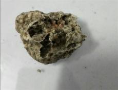 龙涎香的近年上门收购价格