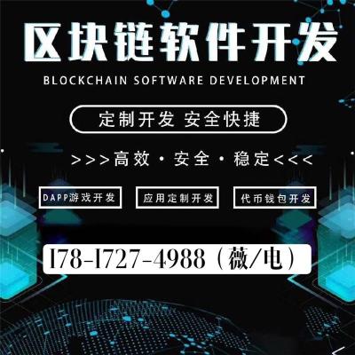 DKW矿机系统开发方案详解