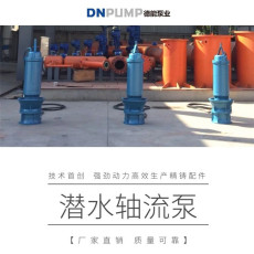天津应急抢险潜水轴流泵商家 黄河流域使用