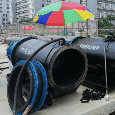 天津市政水利工程雪橇式轴流泵厂家 黄河流