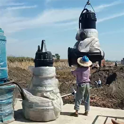 天津防洪泵站污水泵制造厂家 终身维护