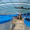 圆形铁桶镀锌板帆布水池新款大型户外养殖池