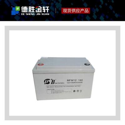 派世博UPS蓄电池MFX12/24免维护胶体干电池