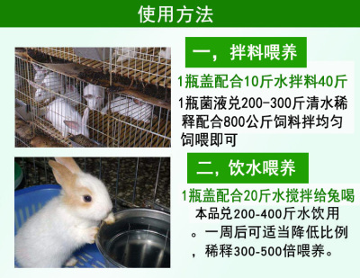 冬季养兔子怎么预防拉稀腹泻用什么效果好