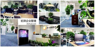 上海融资租赁公司注册条件