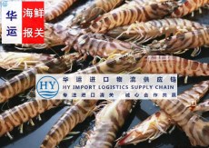 越南巴沙魚片廣州南沙進口代理清關公司