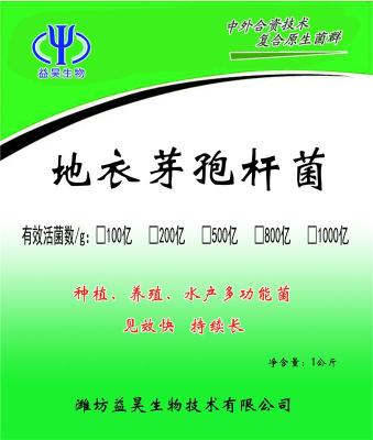 饲料添加剂用地衣芽孢杆菌 200亿1000亿原粉