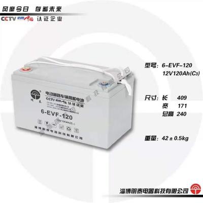 明泰蓄电池6-EVF-110电轿车电池12V-110AH
