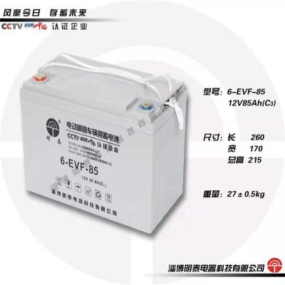 明泰蓄电池6-EVF-100免维护长寿命12V-100AH