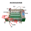 盛通新品鹌鹑蛋真空包装机