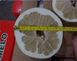 水果验货 水果检验标准 第三方验货公司