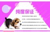 上海买狗上海哪里有狗卖哪有专业养殖场