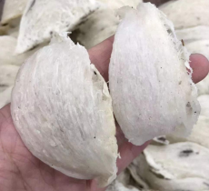 端州回收金丝燕窝价格表
