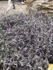 长期高价回收钛废料上海钛产品收购价格