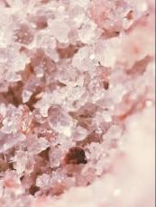 广州喜玛拉雅岩盐进口清关如何操作